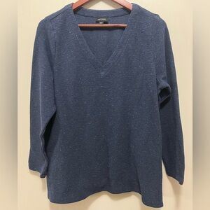 JJill V-Neck Sweater Long Sleeve Oversized Blue Ribbed sweatshirt Womens LP